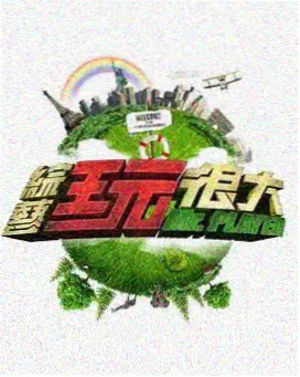 综艺更新节奏变化分析